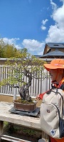 講座の一コマ